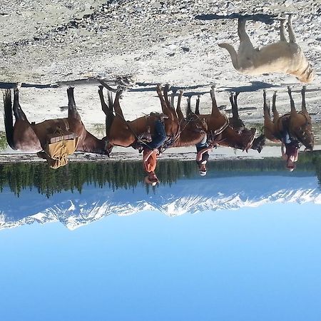 فندق غولدنفي  Bear Corner Adventures Bed & Bale المظهر الخارجي الصورة