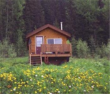 فندق غولدنفي  Bear Corner Adventures Bed & Bale المظهر الخارجي الصورة