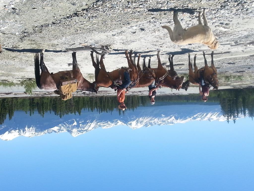 فندق غولدنفي  Bear Corner Adventures Bed & Bale المظهر الخارجي الصورة